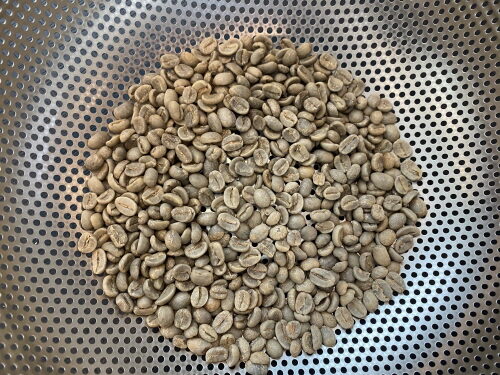 여성장애인교육지원사업 "커피바리스타" 진행