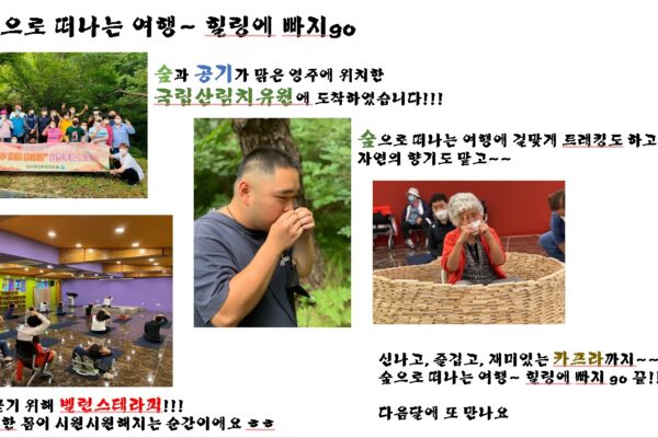 숲으로 떠나는 여행 "힐링에 빠지go"