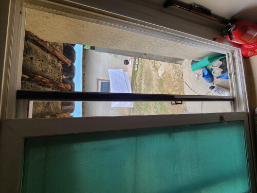 해충 퇴치, 말벌 제거 활동