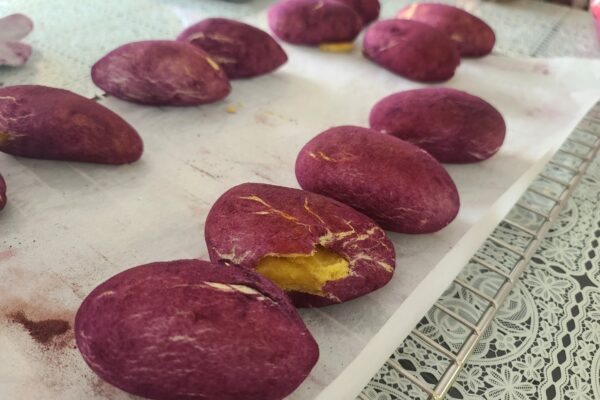 베이커리 프로그램