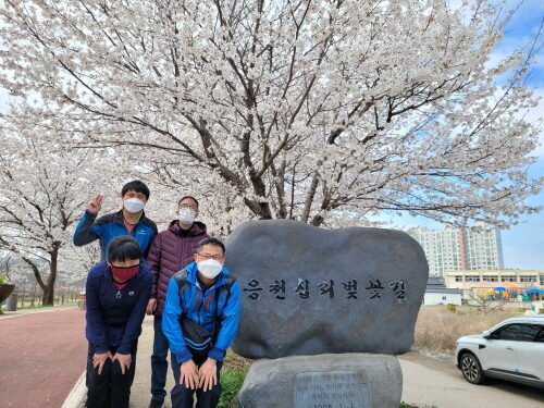 일감,꿀잼 산책진행