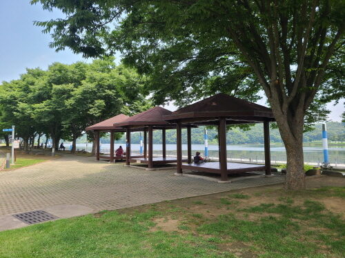 코로나 블루 예방 활동