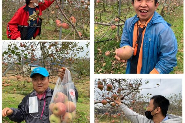 주간보호센터 사과따기 체험하고 왔습니다^^