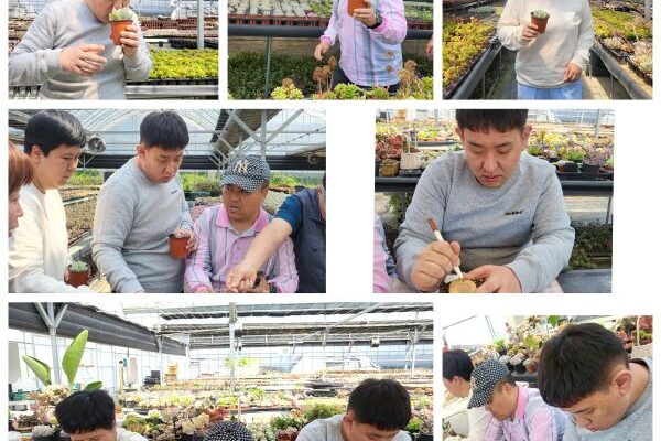 주간보호센터에서 다육이 화분심기 다녀왔습니다~