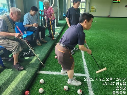 게이트볼 프로그램