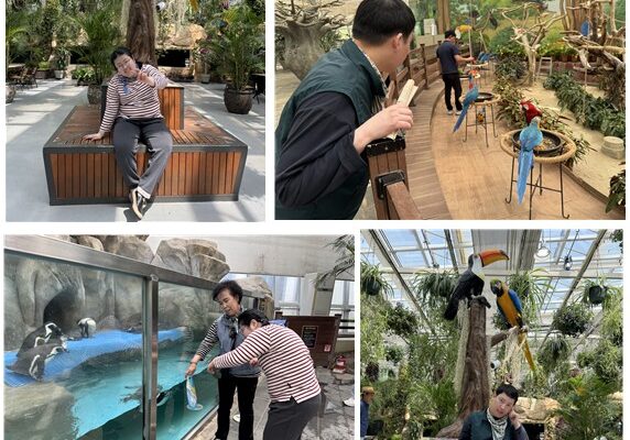 주간보호센터 소그룹문화체험