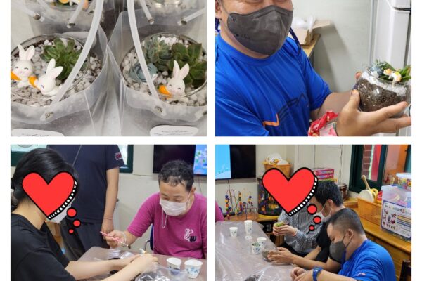 주간보호센터 테라리움 만들기