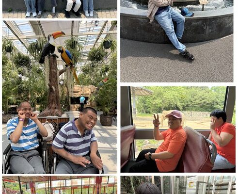 주간보호센터 단체 문화체험