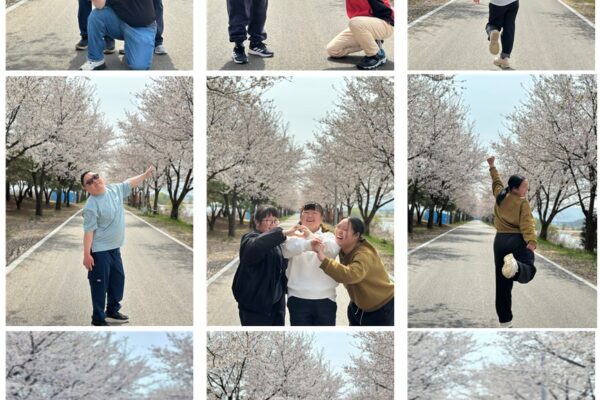 발달장애인지원팀 내맘대로 문화/스포츠 벚꽃나들이 다녀왔어요~
