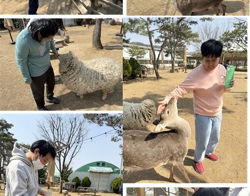 주간보호센터 동물 먹이주기 체험