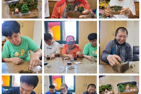 주간보호센터 - 이끼테라리움만들기