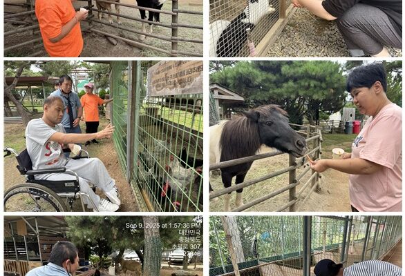 주간보호센터 동물 먹이주기 체험