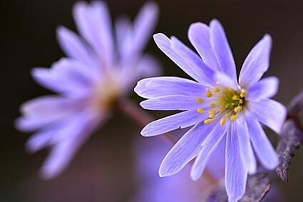 장애인복지관 디지털정보화교육 대상자 모집