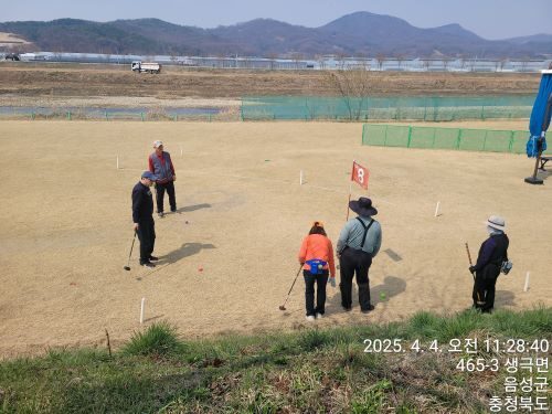 파크골프 프로그램