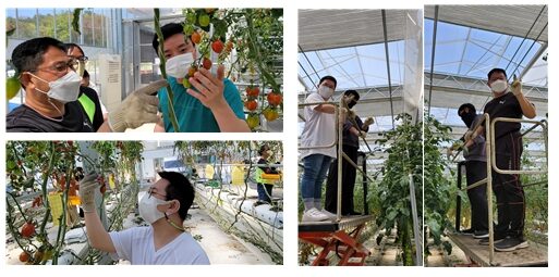 일감반 직업체험