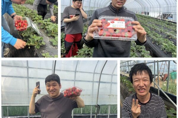 주간보호센터 딸기체험