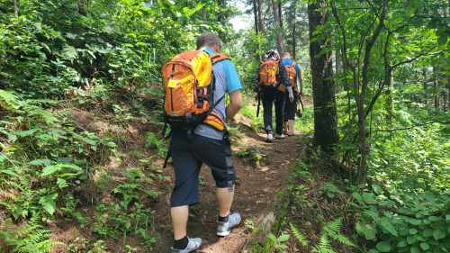 동서발전 탄소중립 트래킹 7.27 국립횡성 숲체원에 다녀오다~